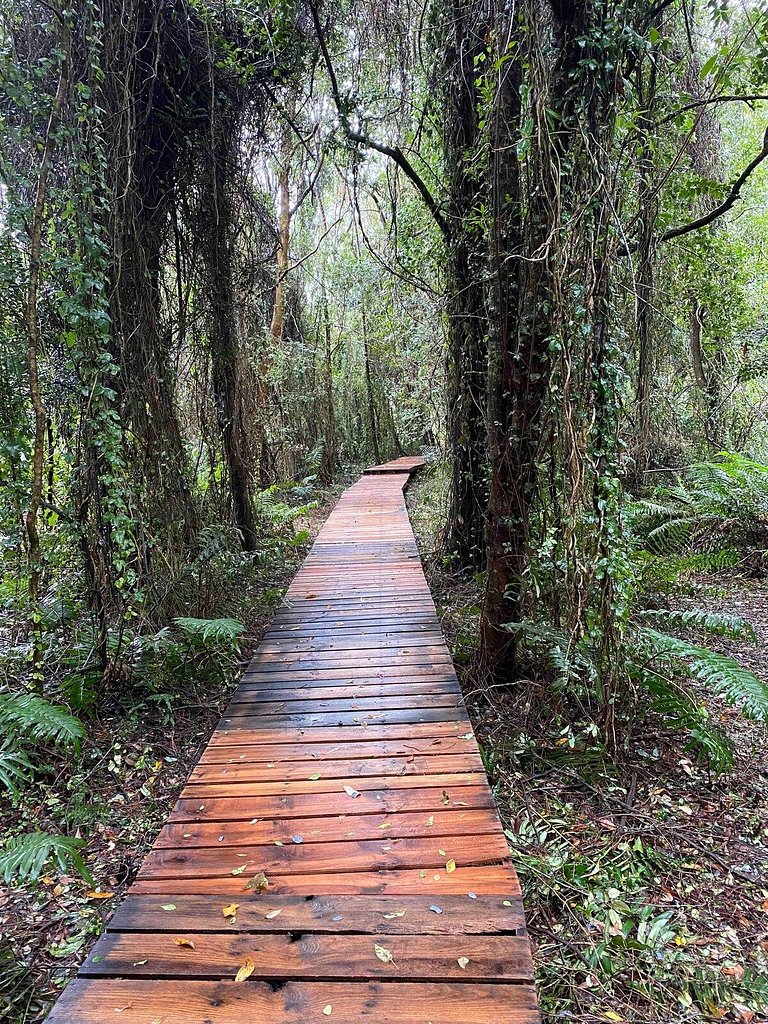 Container con opción de tina temperada