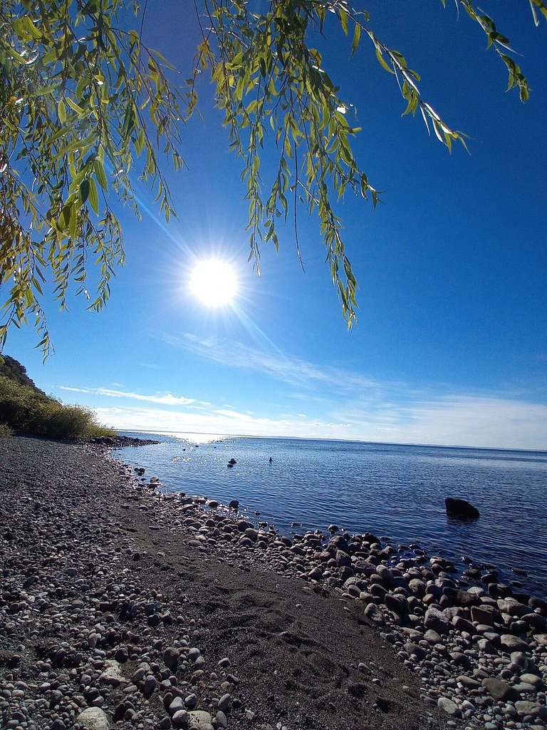 Container con opción de tina temperada