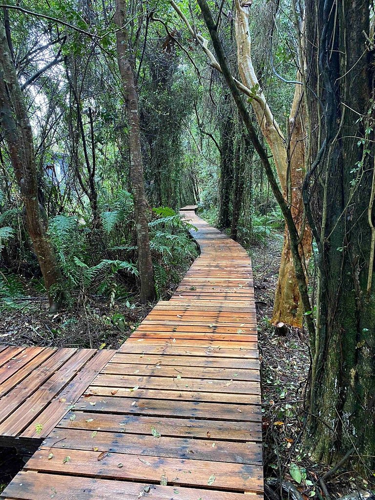 Tiny House con opción de tina temperada