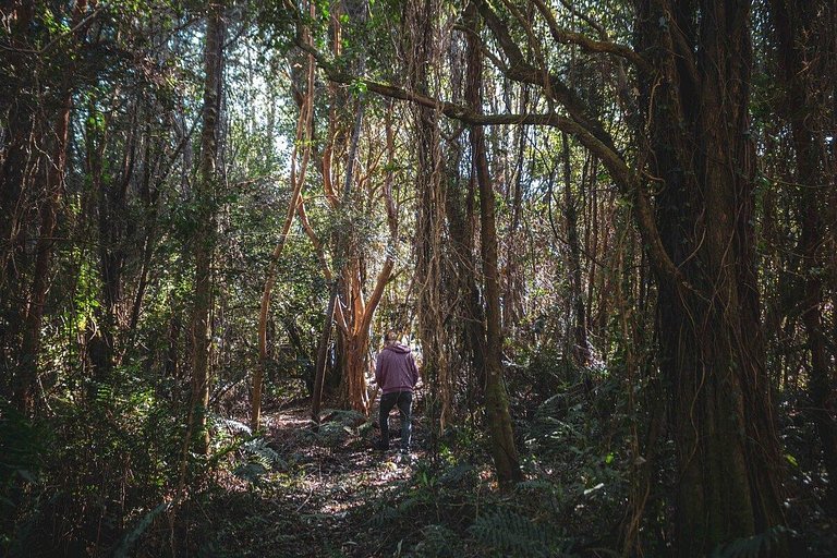 Tiny House con opción de tina temperada