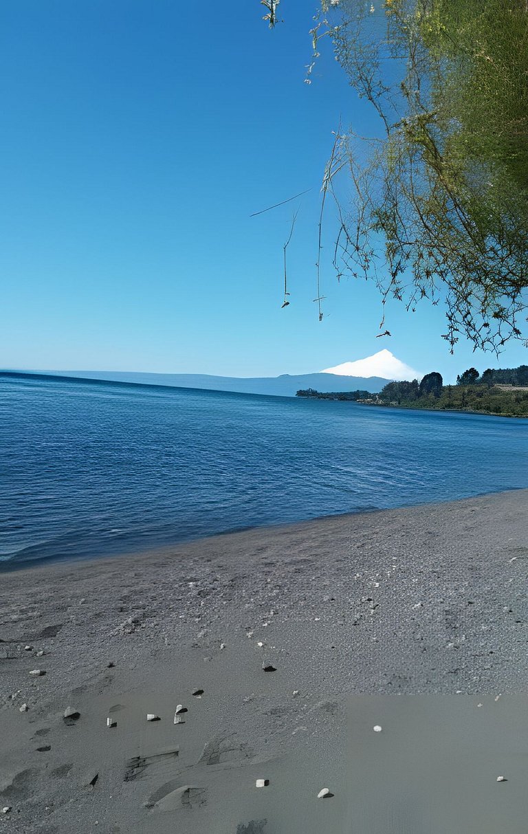 Container con tina temperada