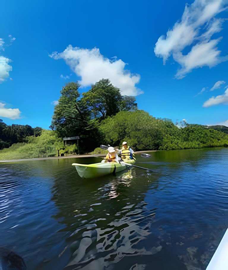 Container con tina temperada