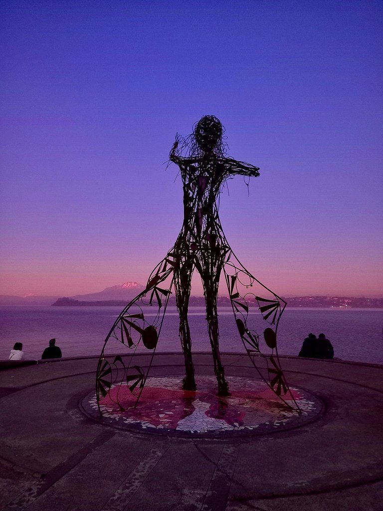 Tiny House con opción de tina temperada