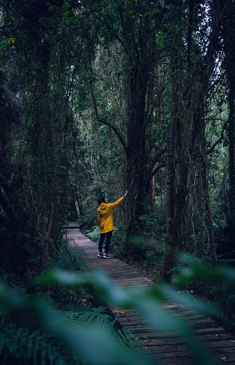 Casa loft con opción de tina temperada