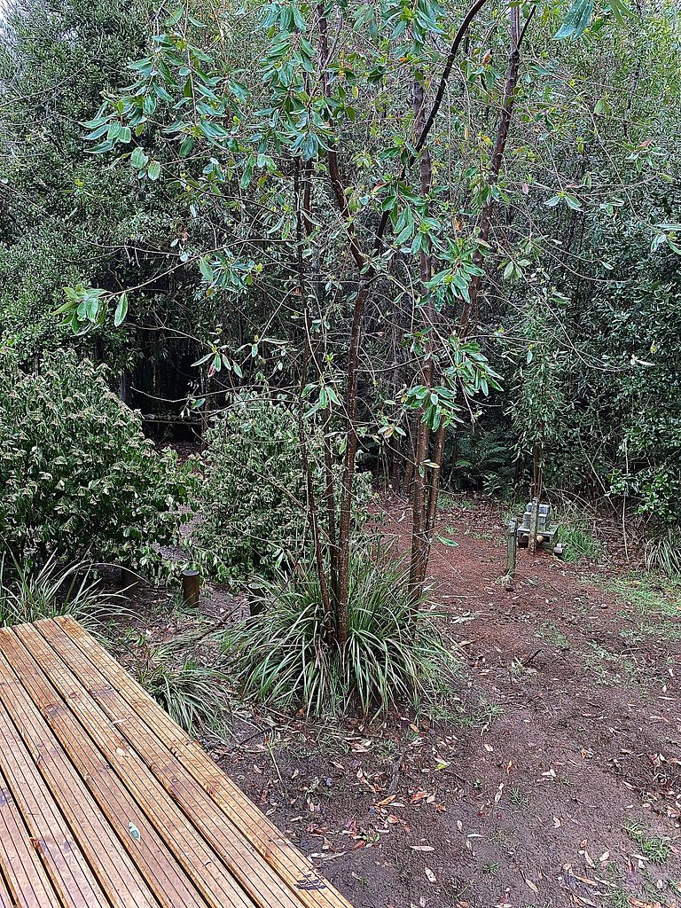 Container con tina temperada