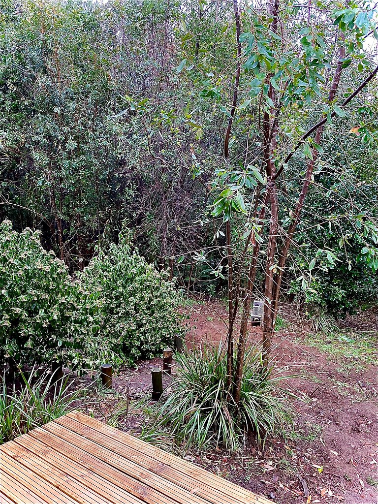 Container con tina temperada