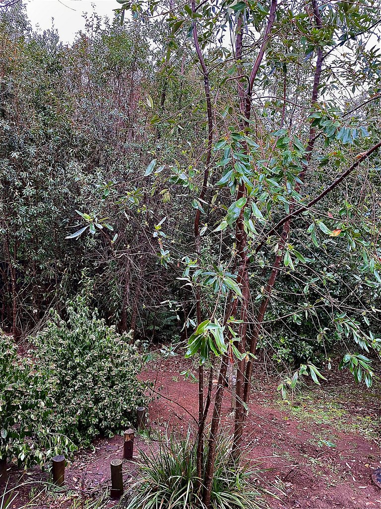 Container con tina temperada