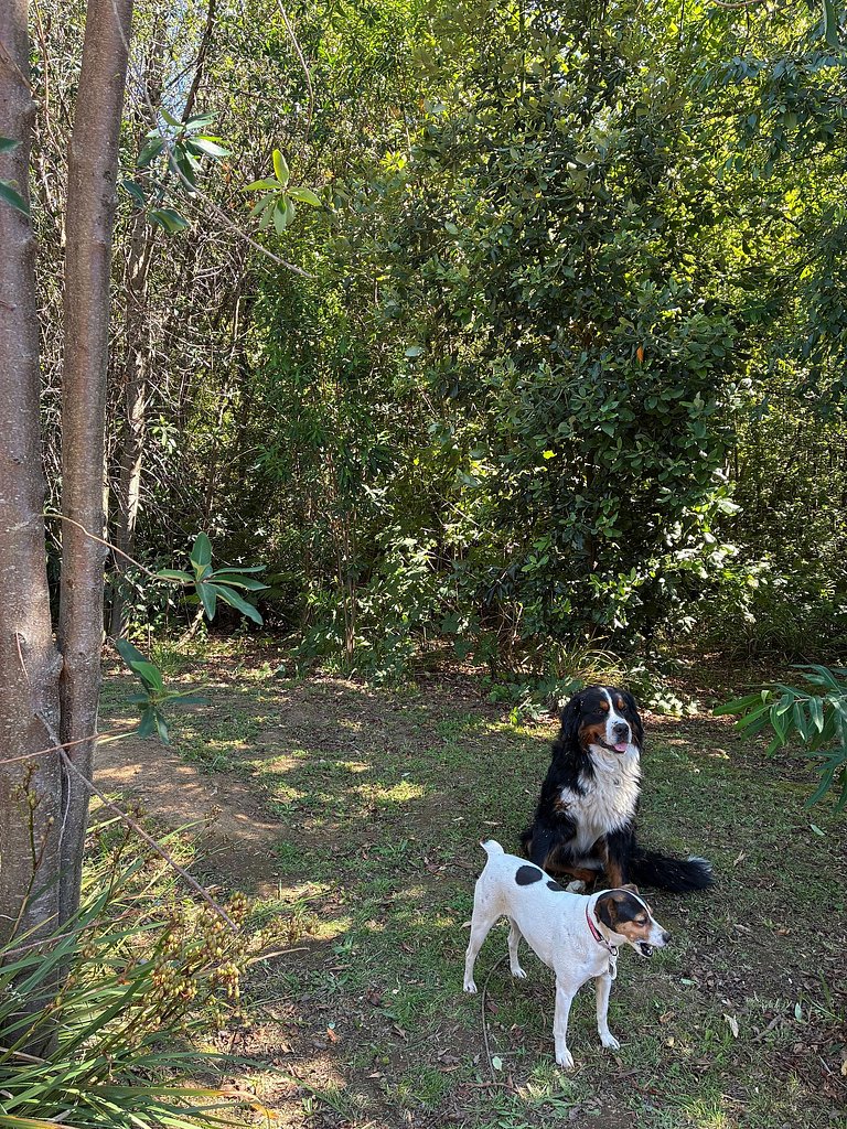 Container con tina temperada