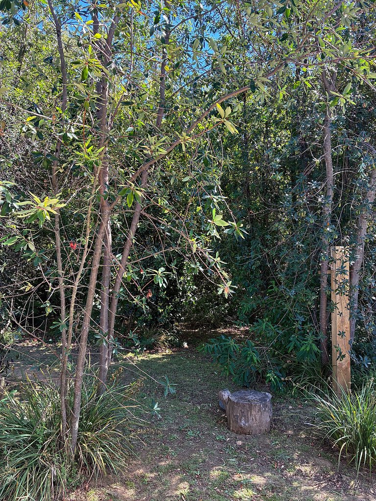 Container con tina temperada