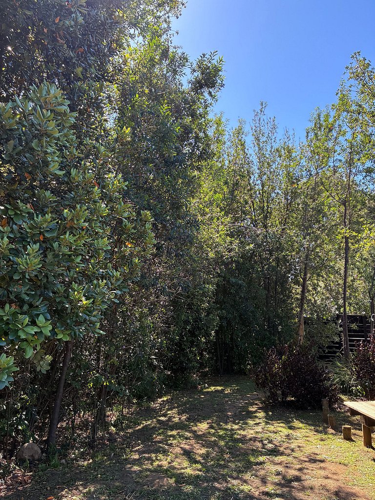 Container con tina temperada