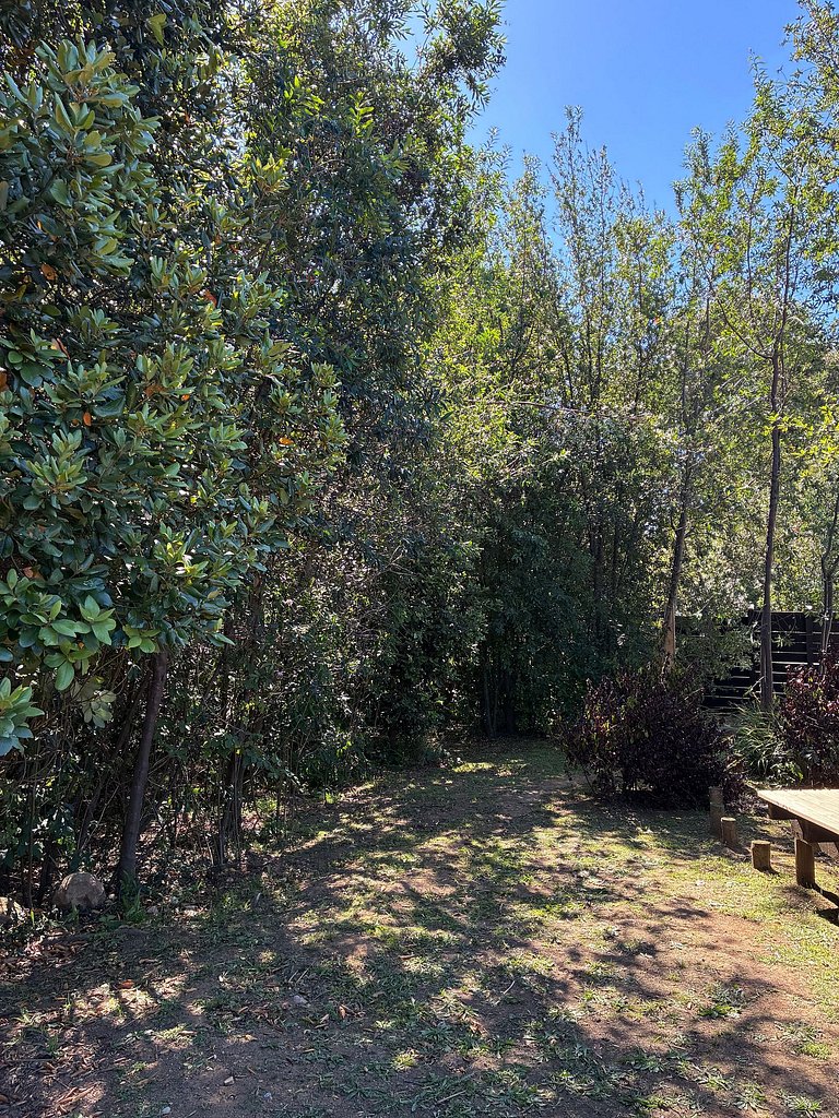 Container con tina temperada