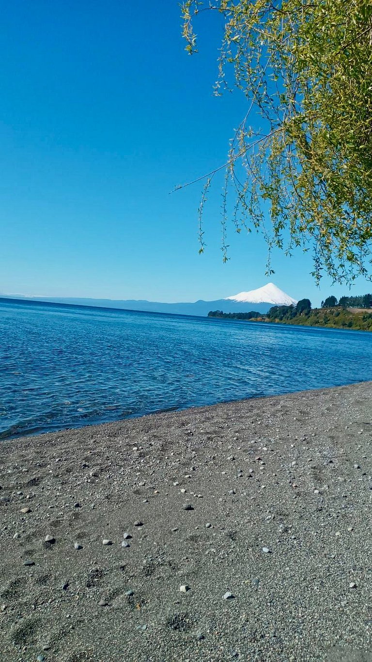 Container con tina temperada